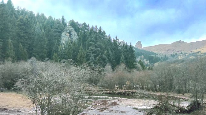 積極開(kāi)展“三抓三促”行動(dòng)，全面..